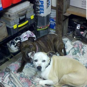 Meet your Posher, Beverly